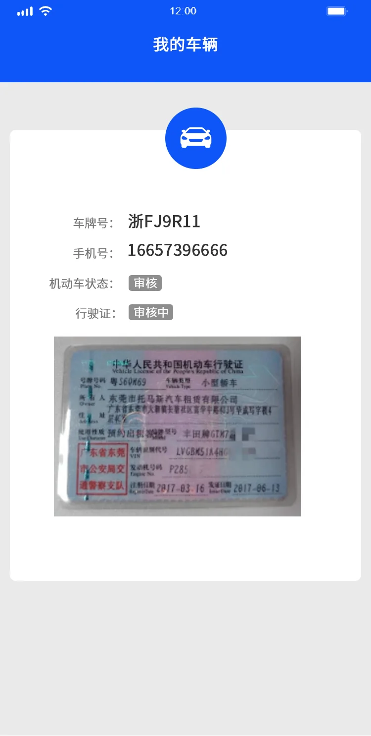 车辆详情-审核中