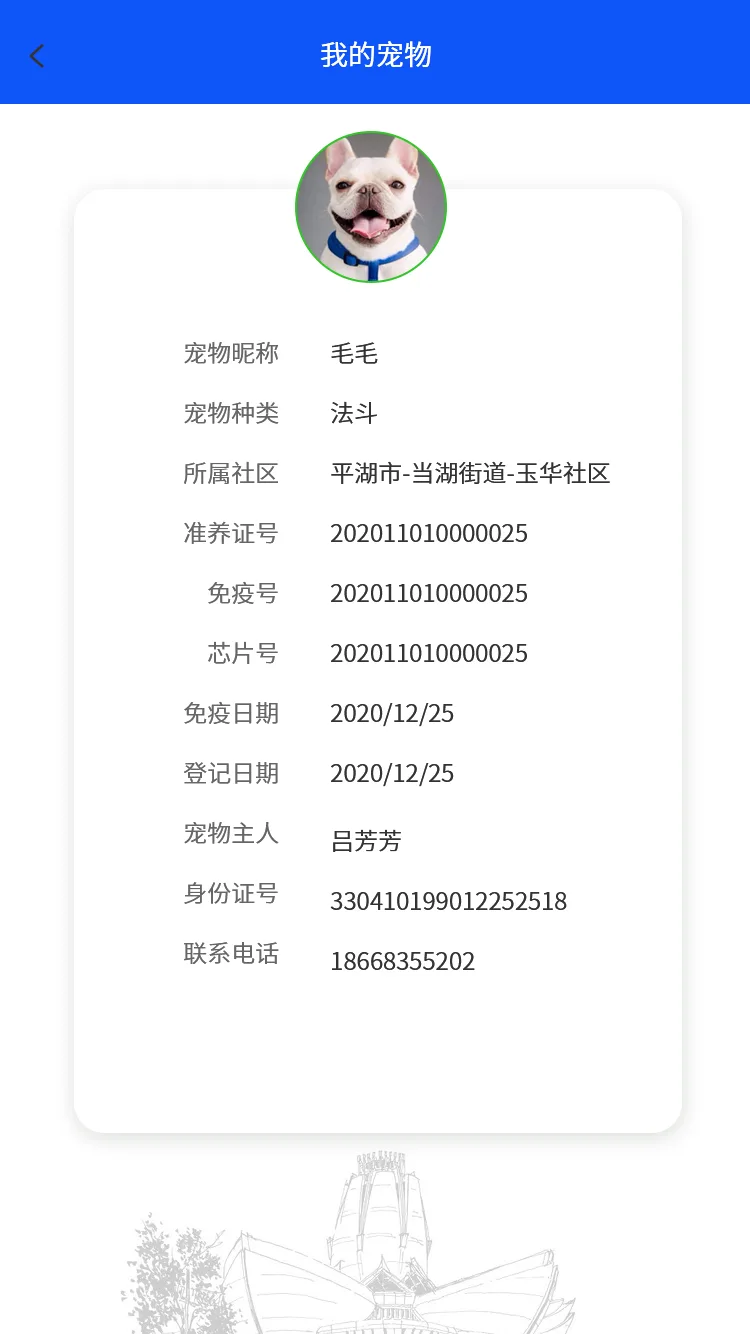 我的宠物